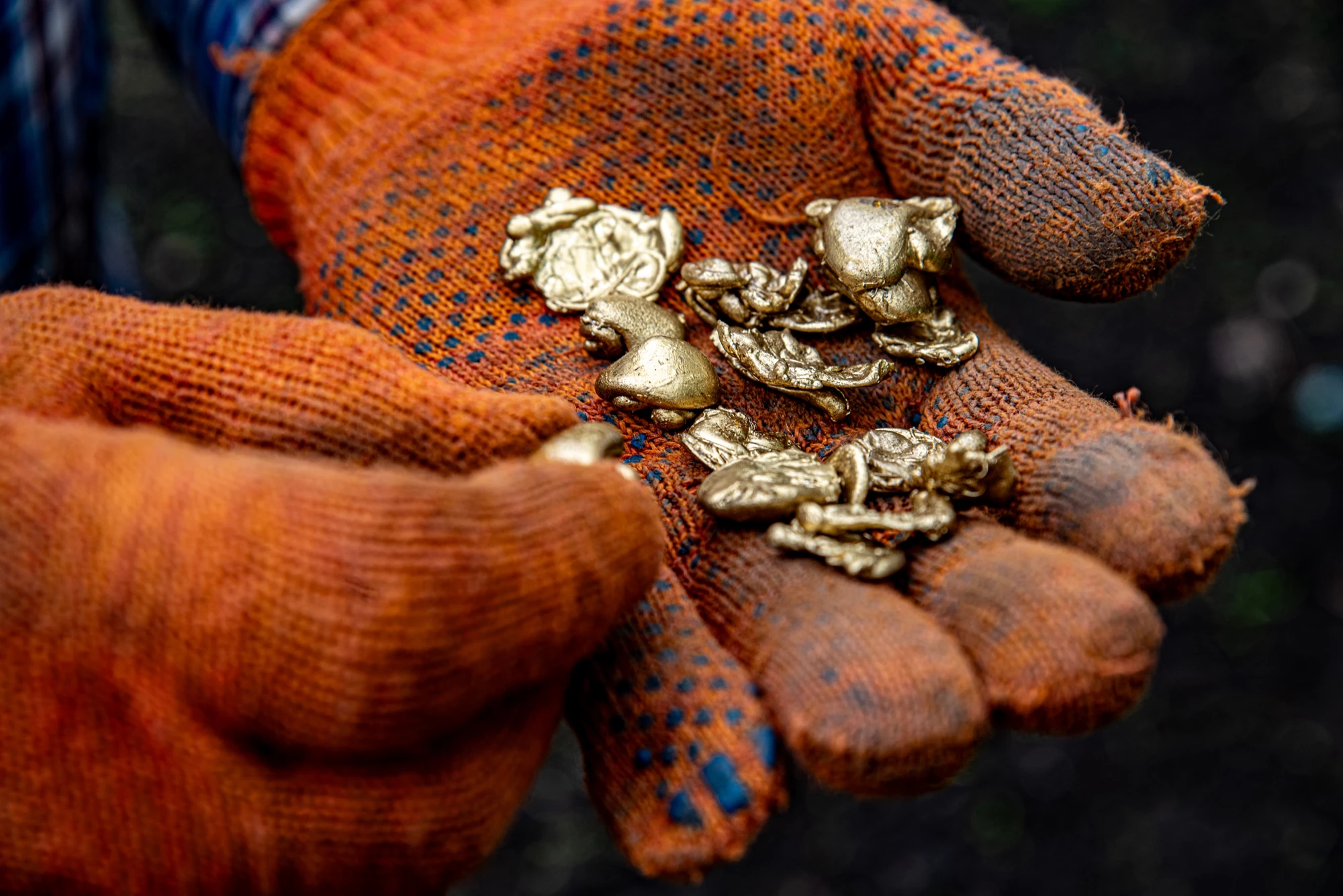 Hands in work gloves holding pieces of gold nuggets. Gold mined from a gold vein