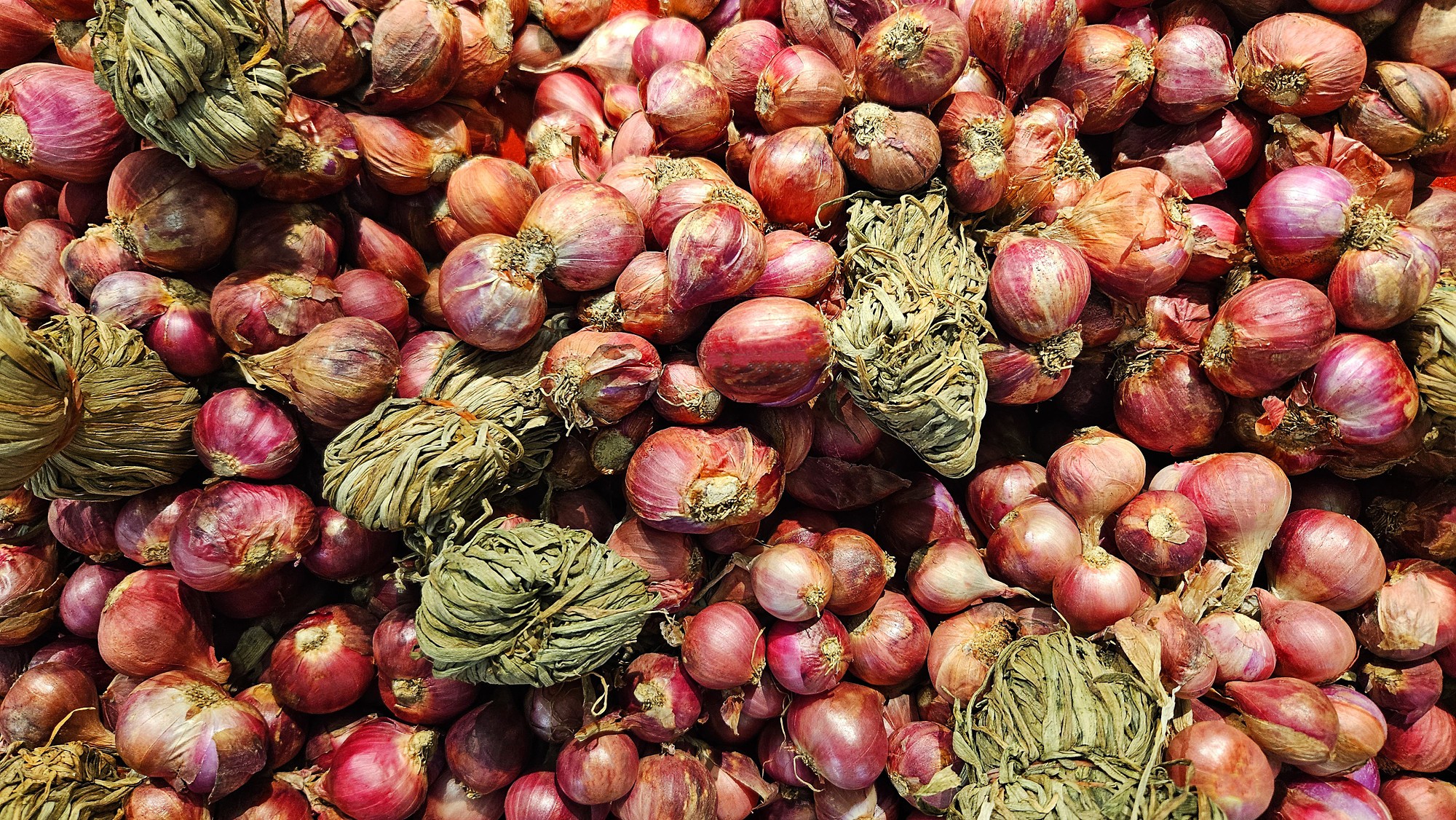 Many fresh bunches of shallots for sale at market or supermarket. Freshness vegetables, harvest of agriculture and ingredients for cooking food.