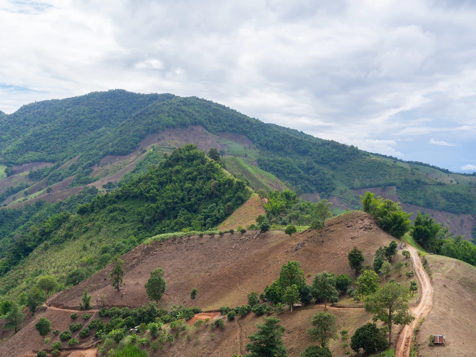 Formative Evaluation of the GEF Integrated Approach to address the Drivers of Environmental Degradation