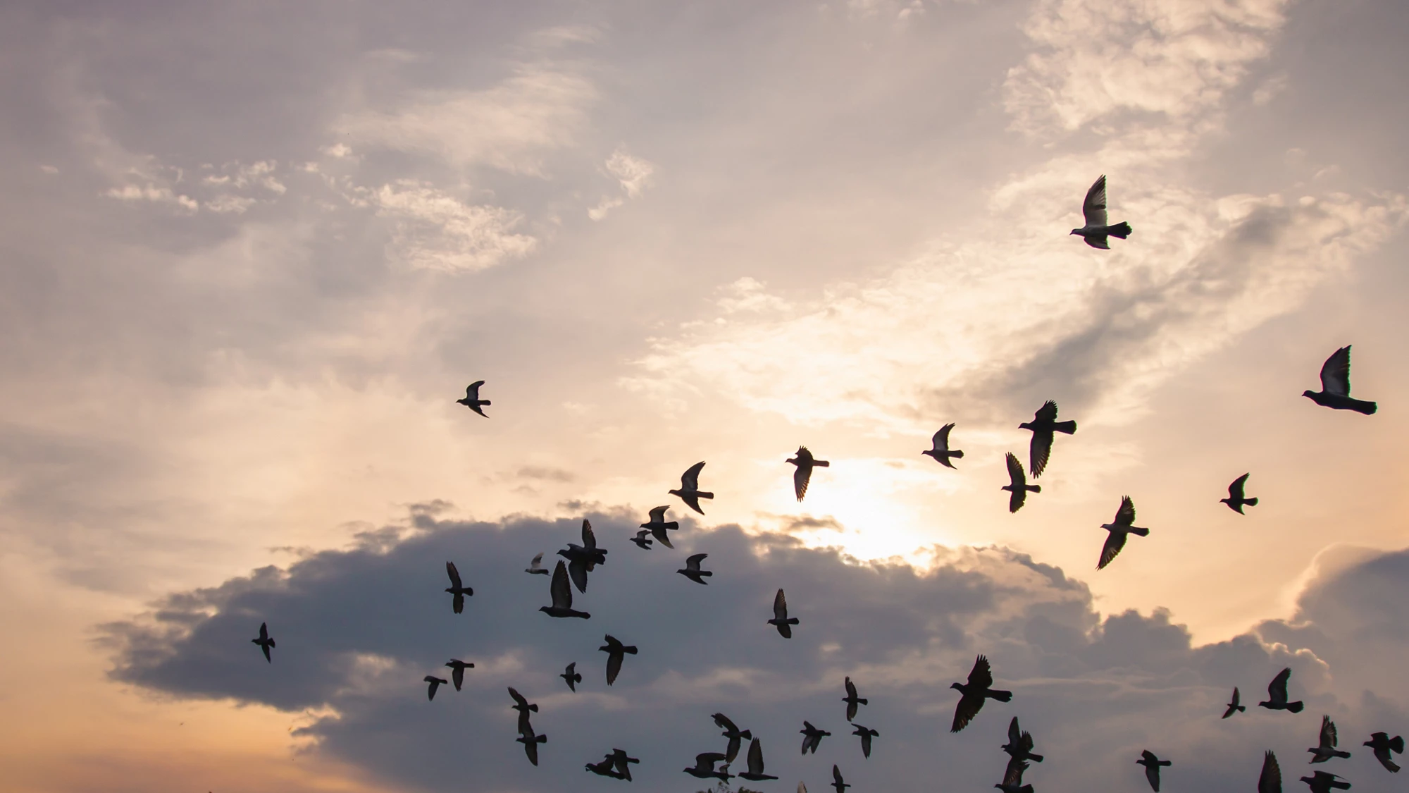 Evaluating environmental peacebuilding: Difficult but necessary