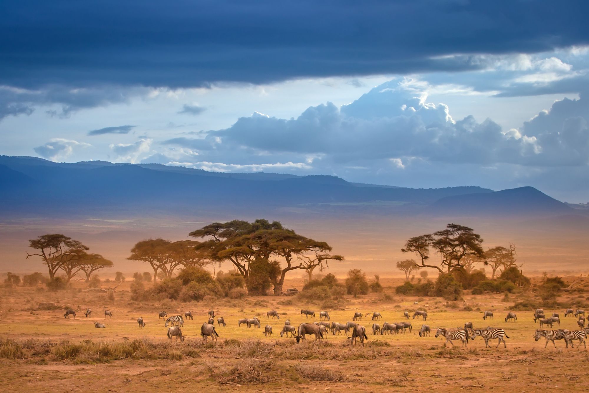 Kenya