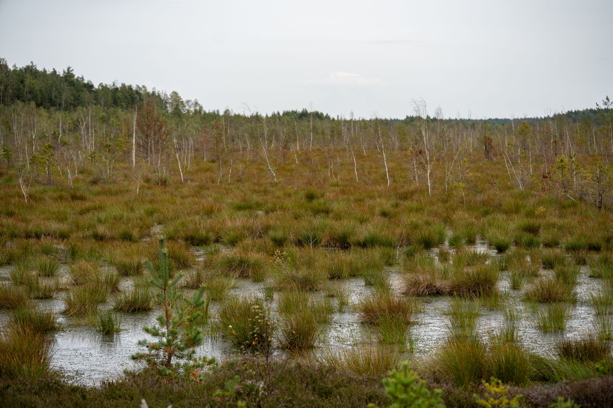 Latvia