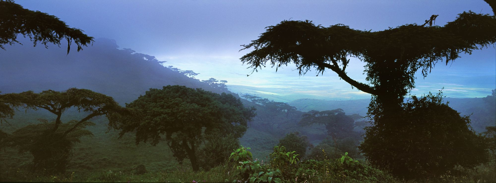 Gabon