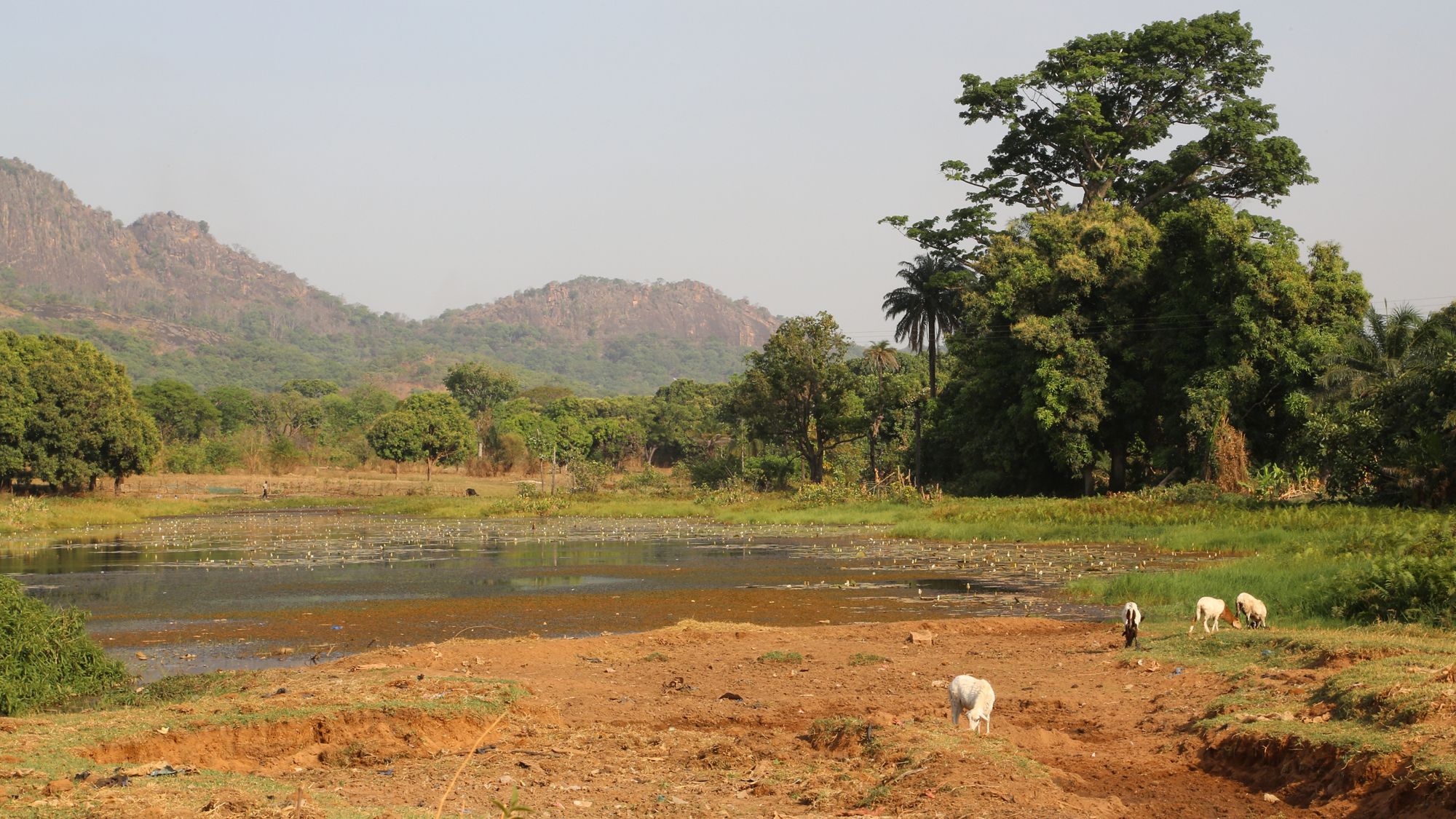 Cote d'Ivoire