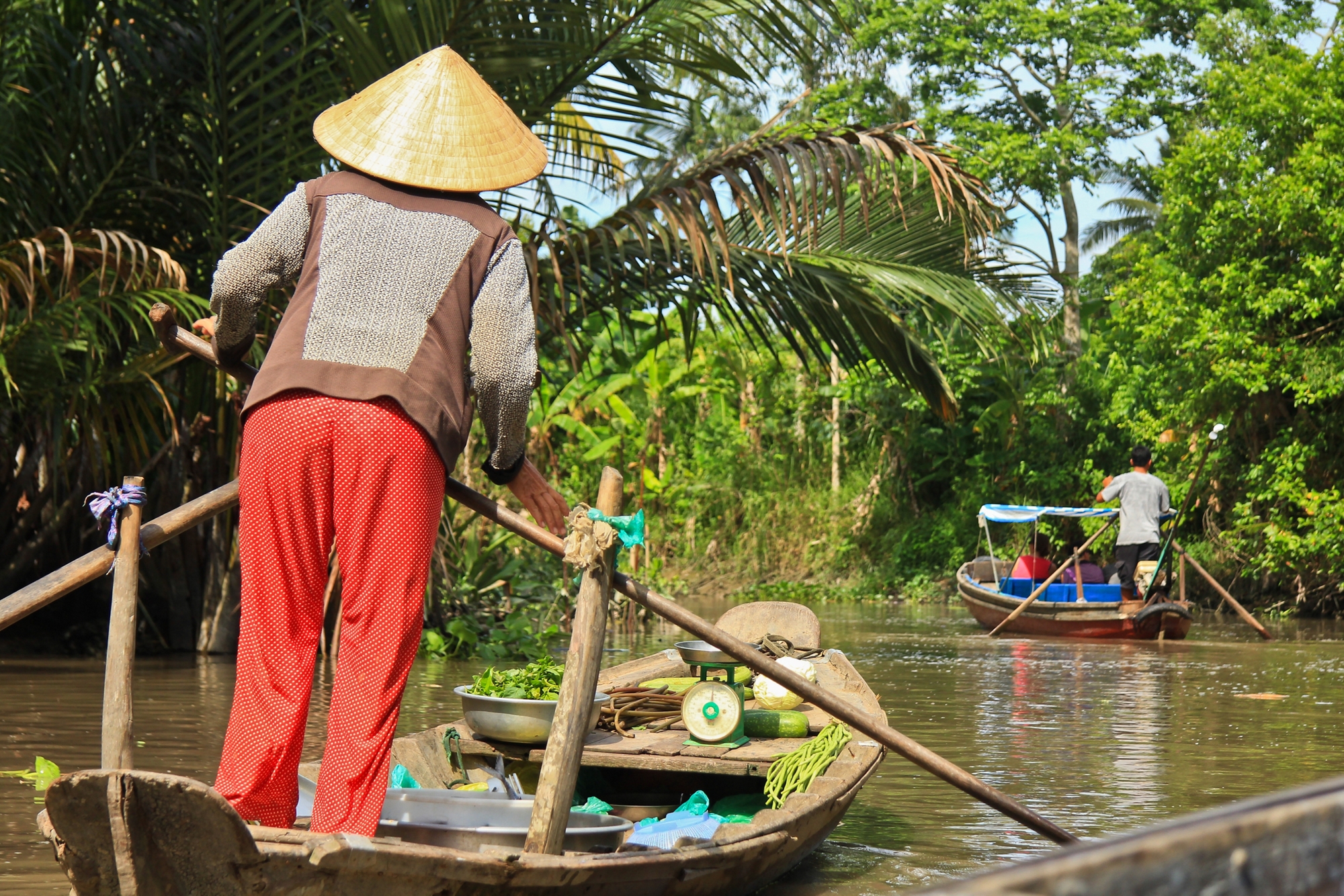 Strategic Country Cluster Evaluation (SCCE): Lower Mekong River Basin Ecosystem