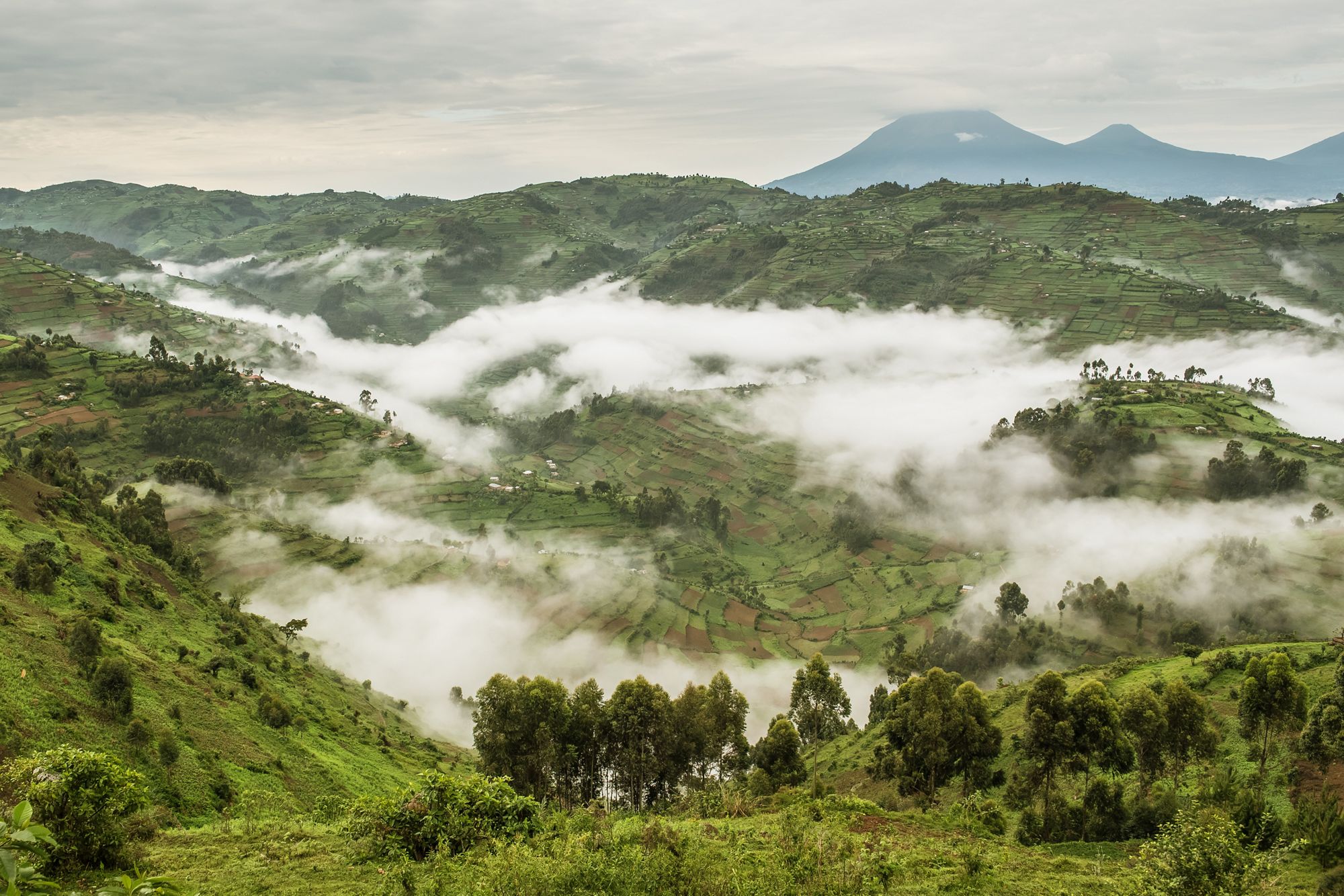 Uganda