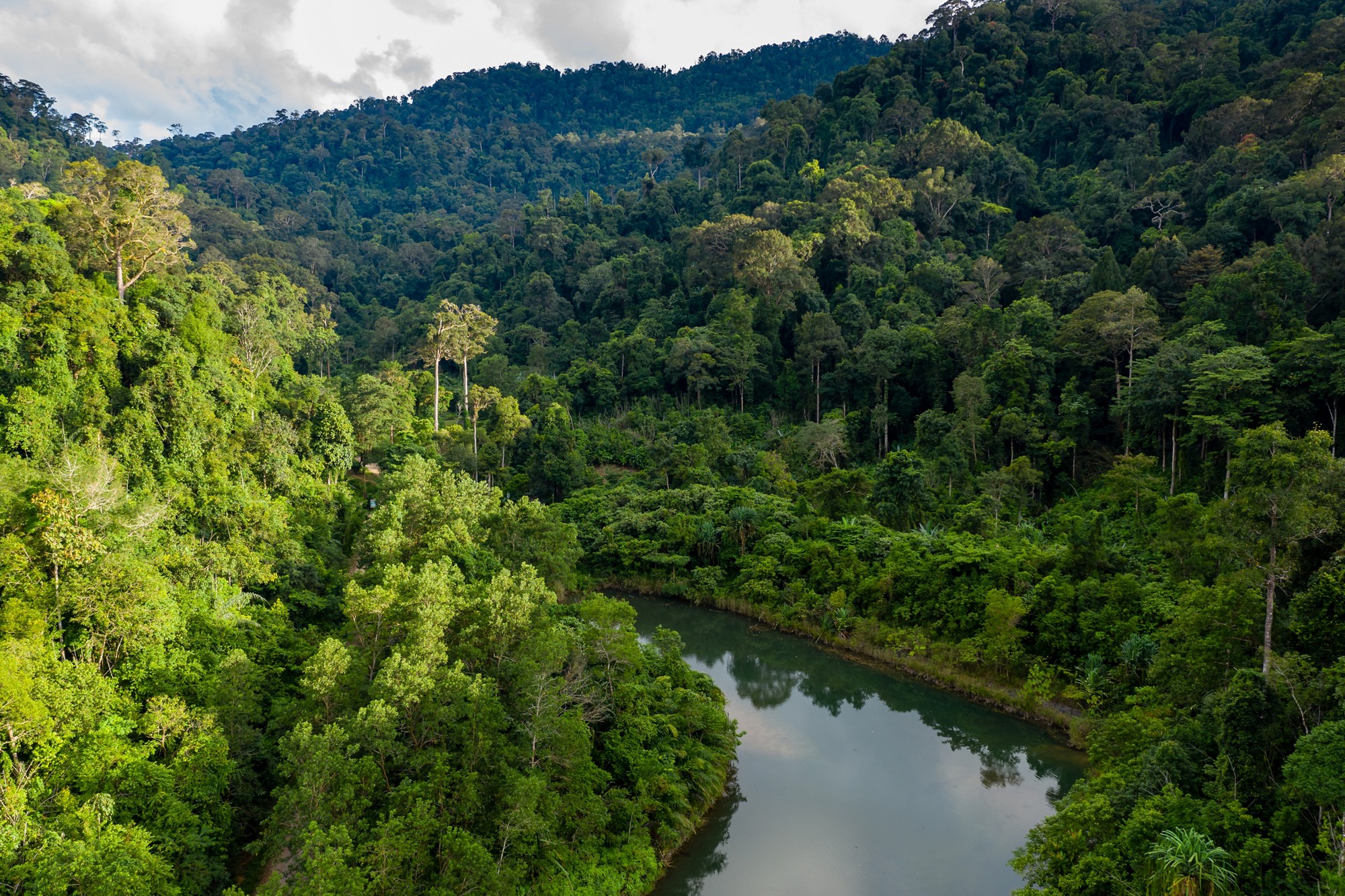 Aerial drone view of mountainous tropical rainforest and a small lake in Thailand