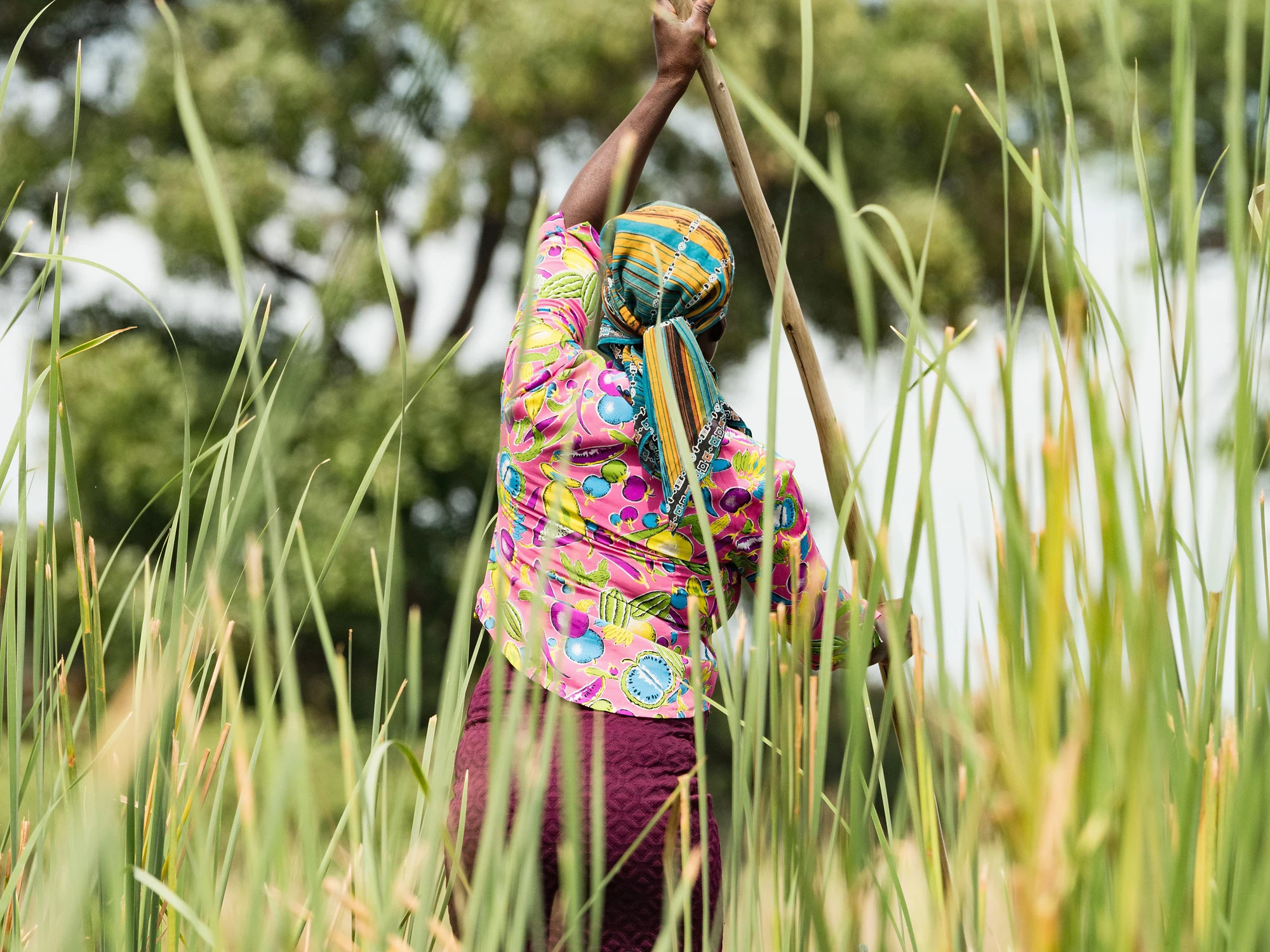 Local woman working on Mokoro to deliver tourists and campers across the rivers of the Delta Okawango, Botswana
