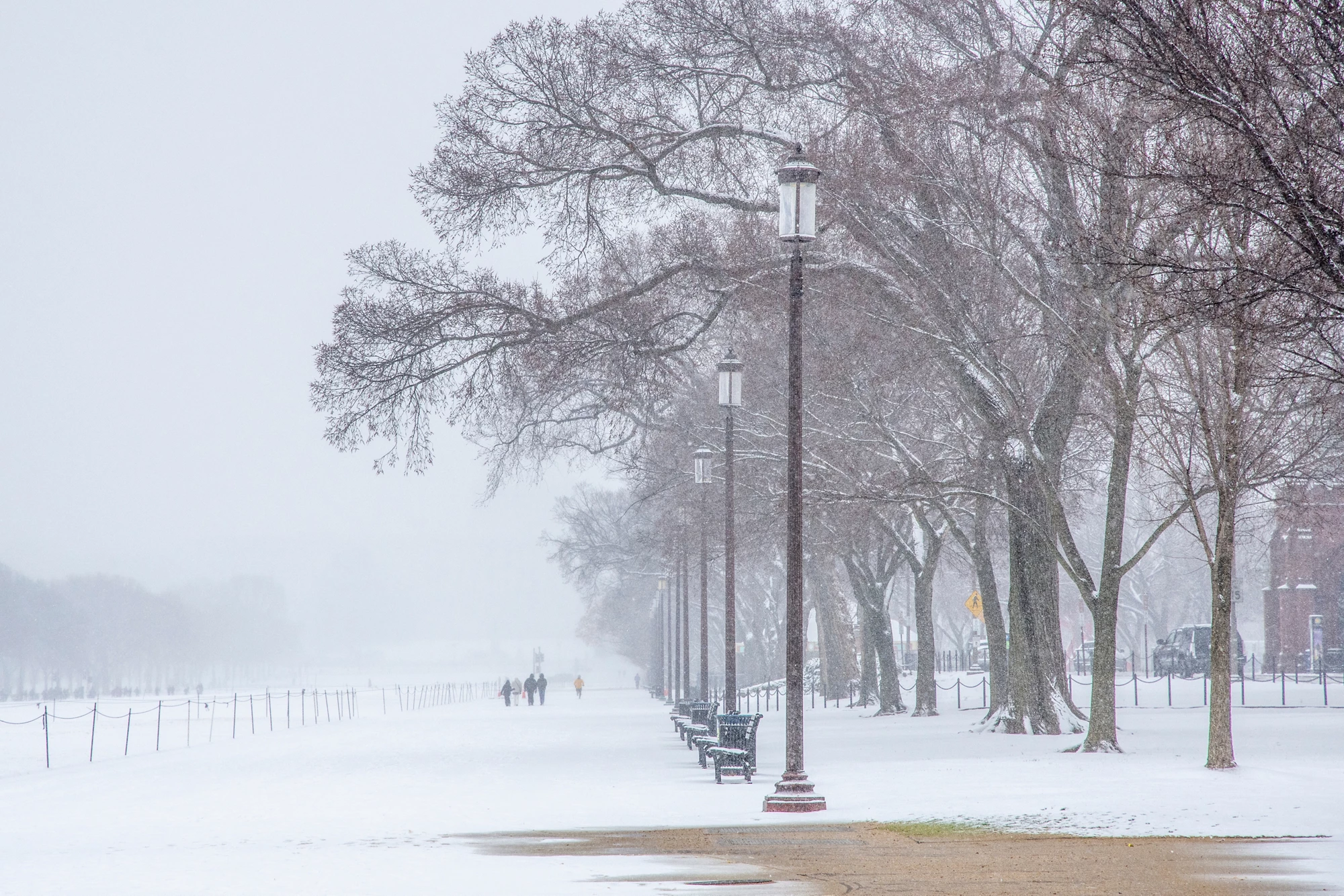 Bare branches of elm trees are dusted with snow on the National Mall in Washington, DC.