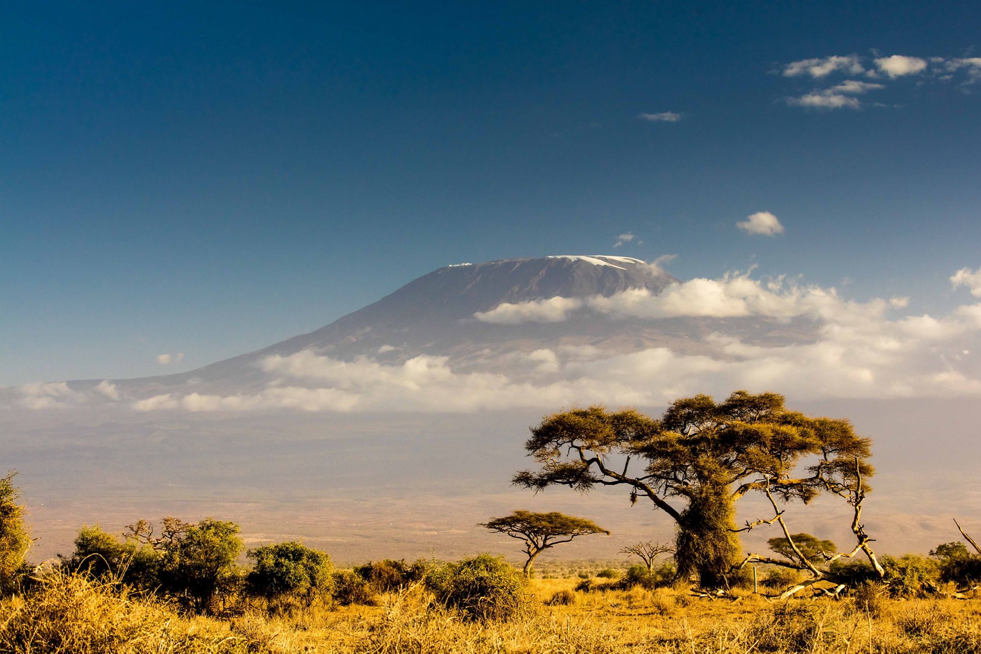 Tanzania