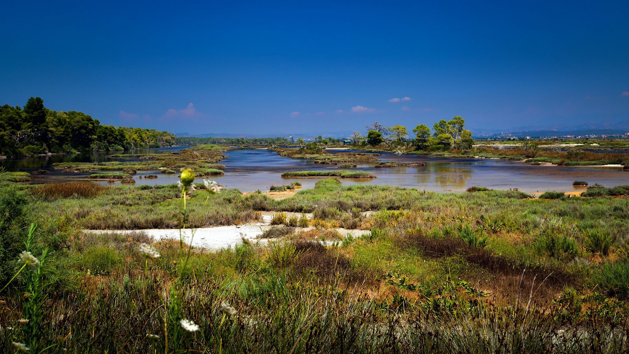 Albania