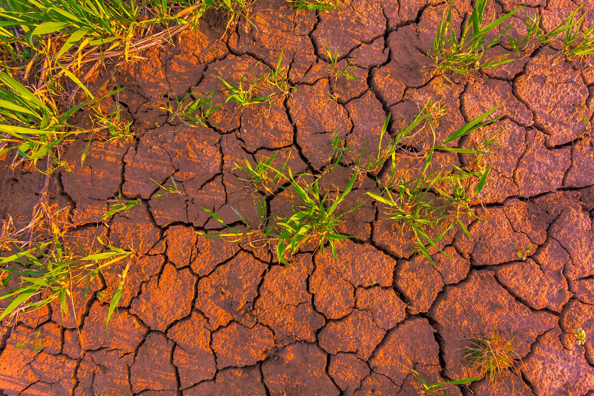 Cracked earth, metaphoric for climate change and global warming, drought conditions