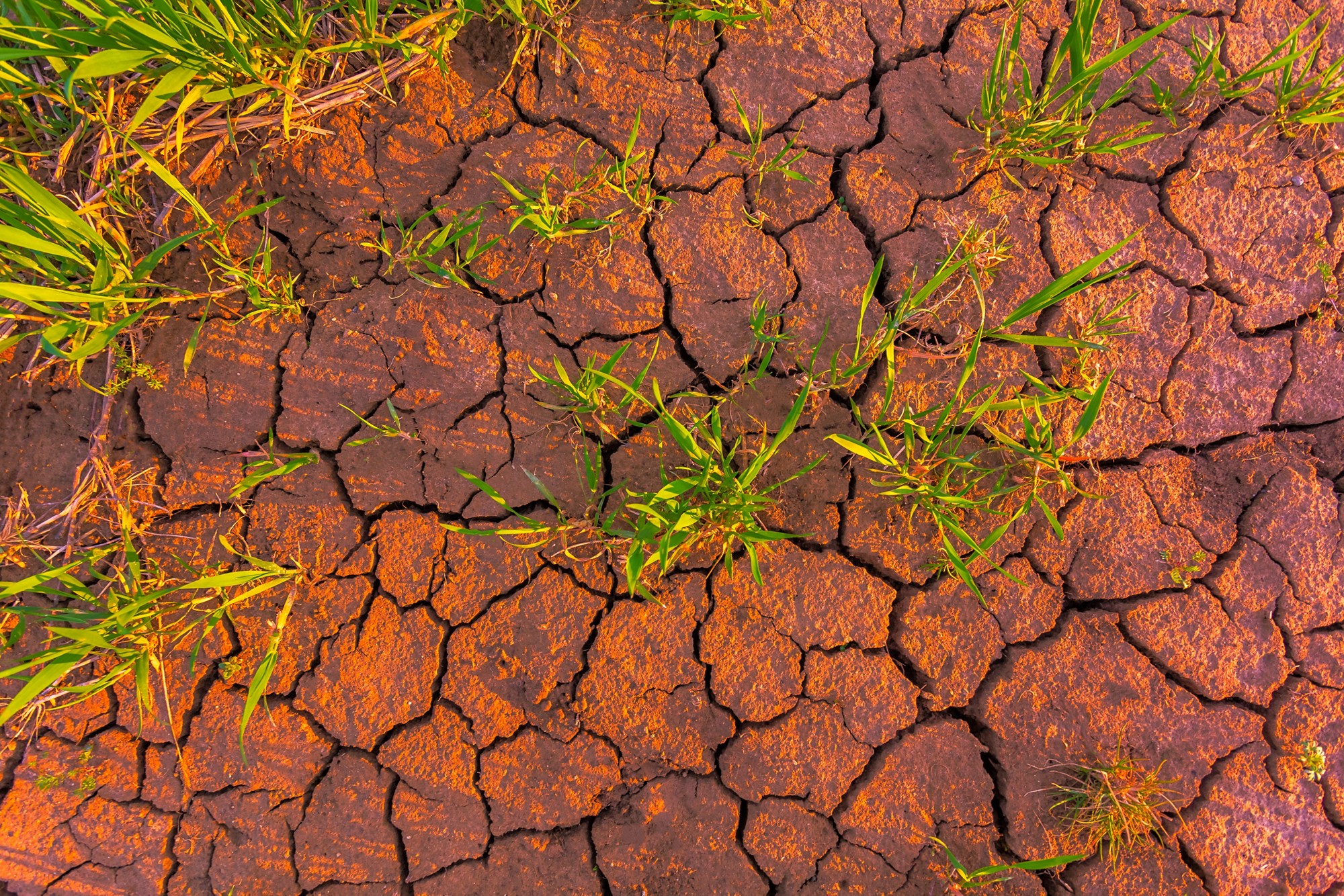 Cracked earth, metaphoric for climate change and global warming, drought conditions
