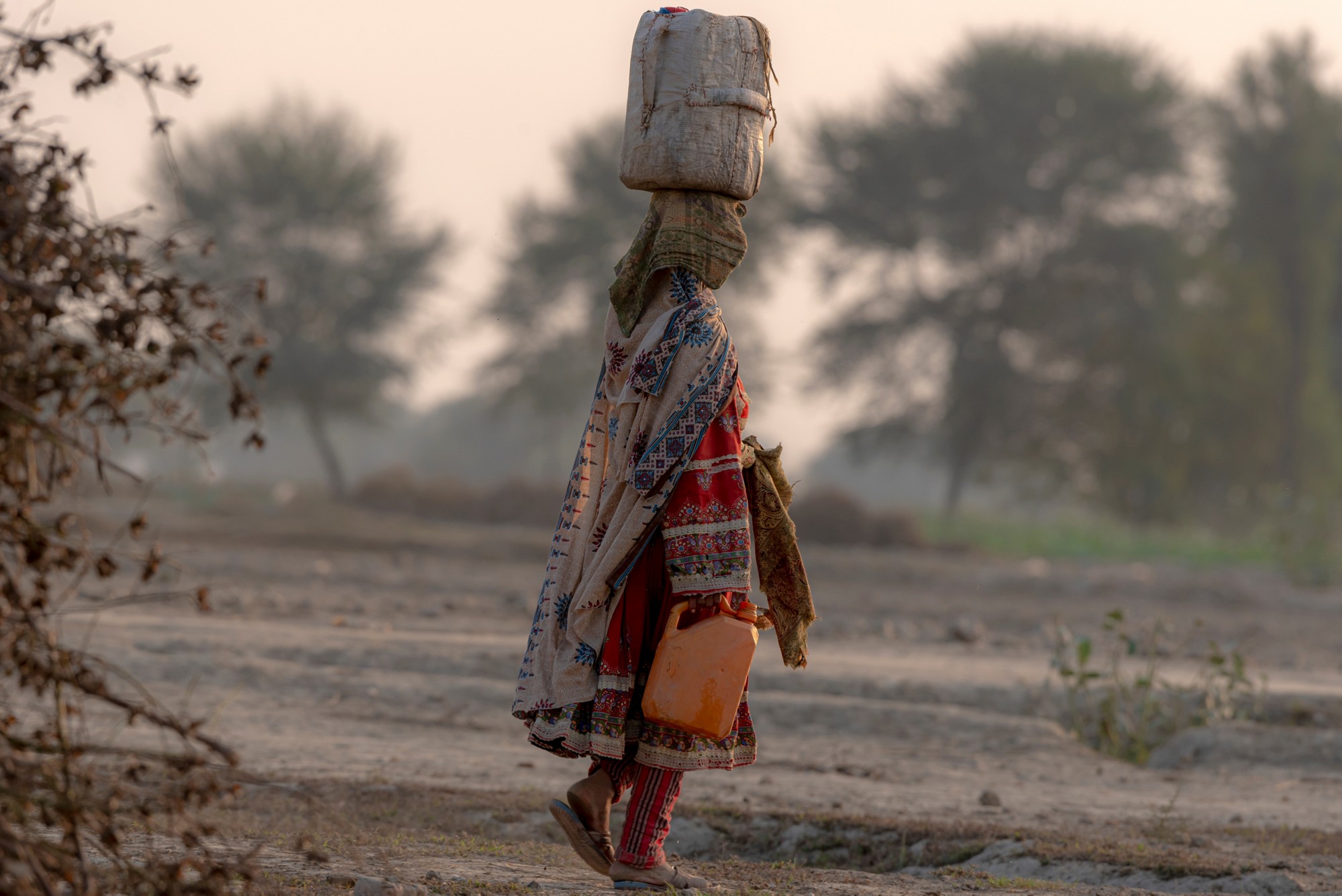 water carrier woman with traditional rural dress in Afghanistan, shepherds and shepherds with sheep flock 