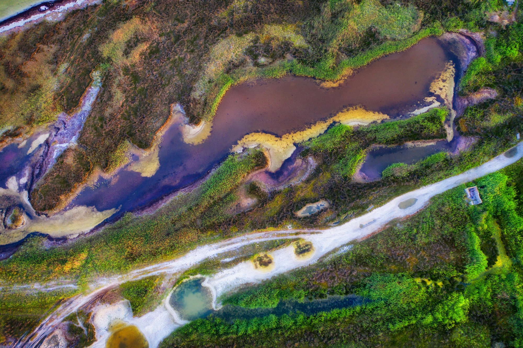 Surreal landscape from above with forest and lakes. Interesting shapes and bright contrasting colors.