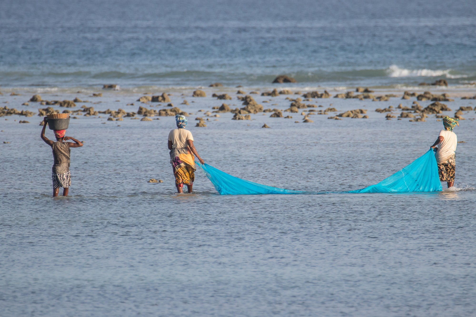 African woman using locally made net for fishing during low tide, Indian Ocean, Mozambique