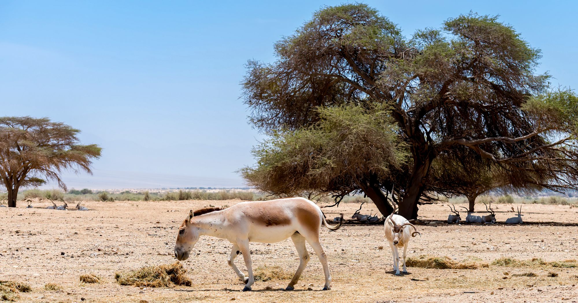 Somalia
