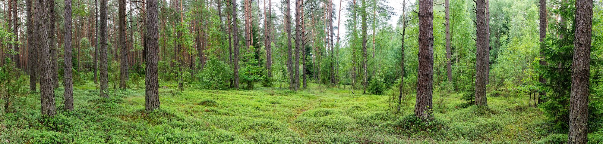 Belarus