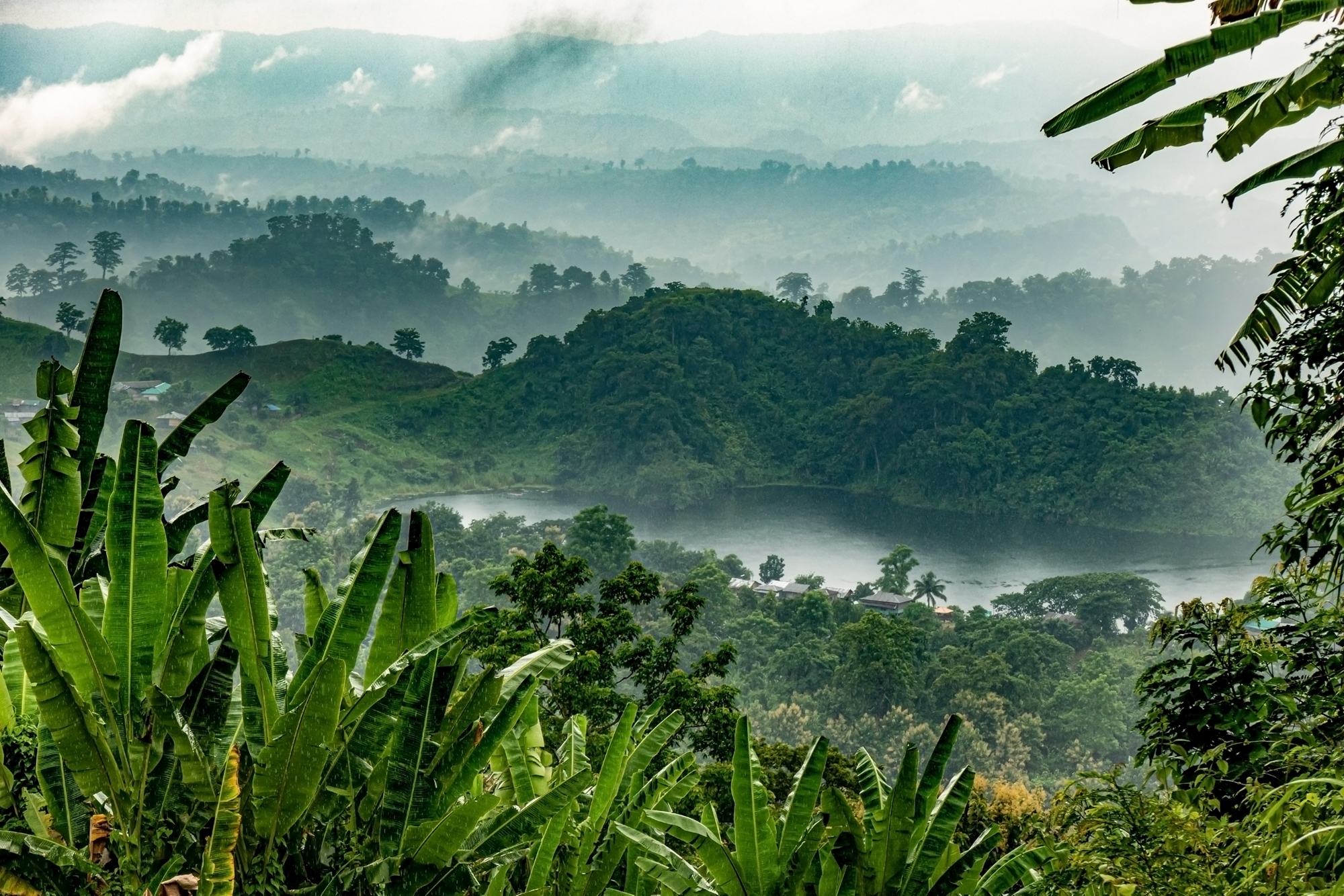Evaluation of the role of Medium-Size Projects (MSP) in the GEF partnership