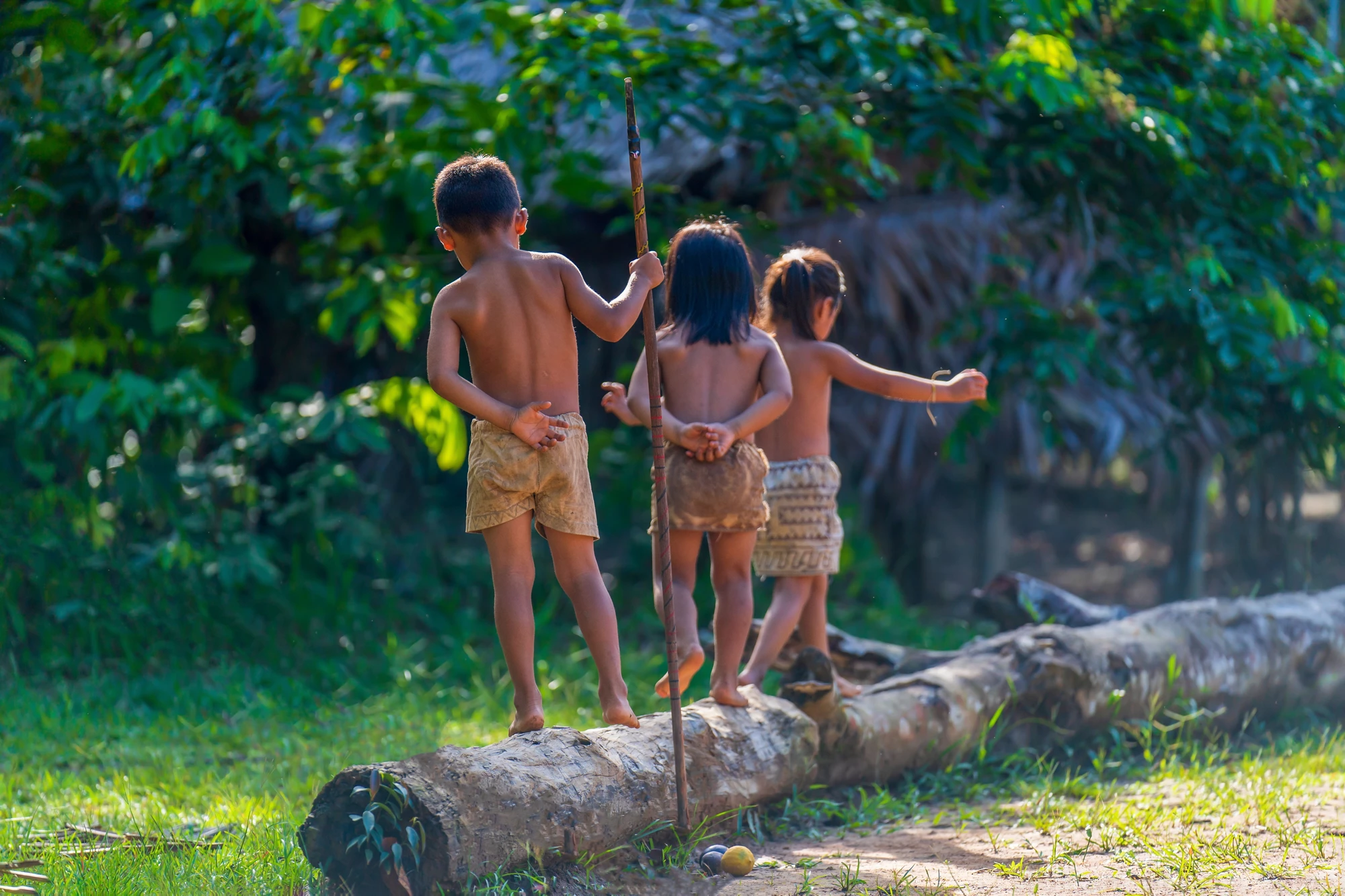 Evaluation of GEF Engagement with Indigenous Peoples (IPs)