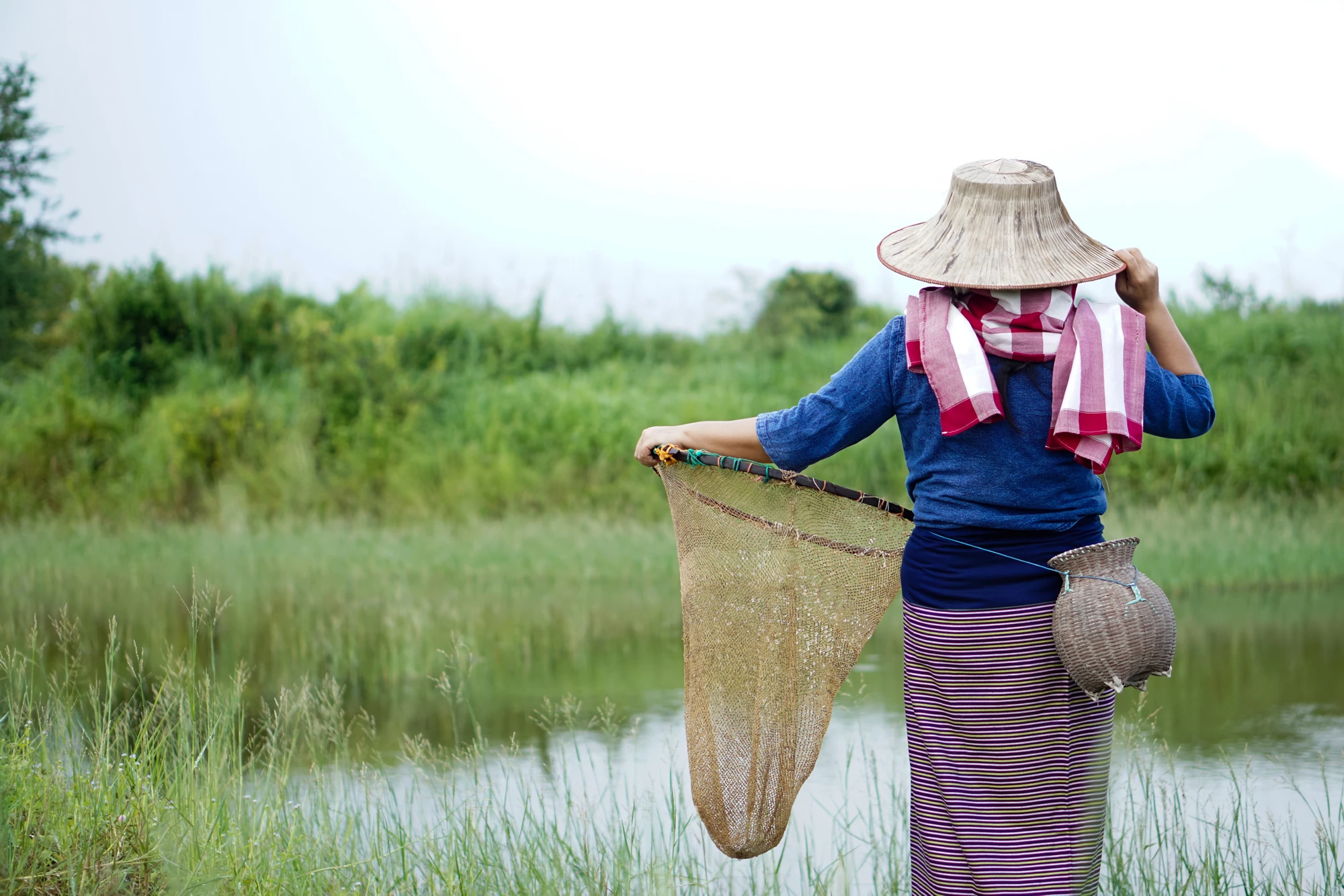 Knowledge Management (KM) in the GEF 2020