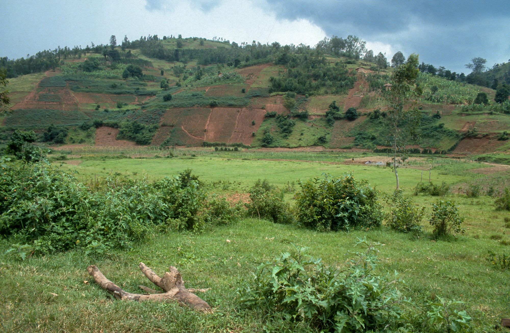 Burundi