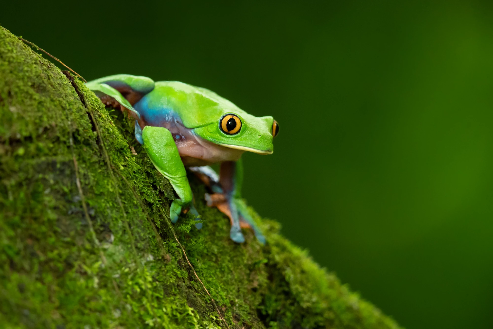 GEF Support to Innovation: Findings and Lessons