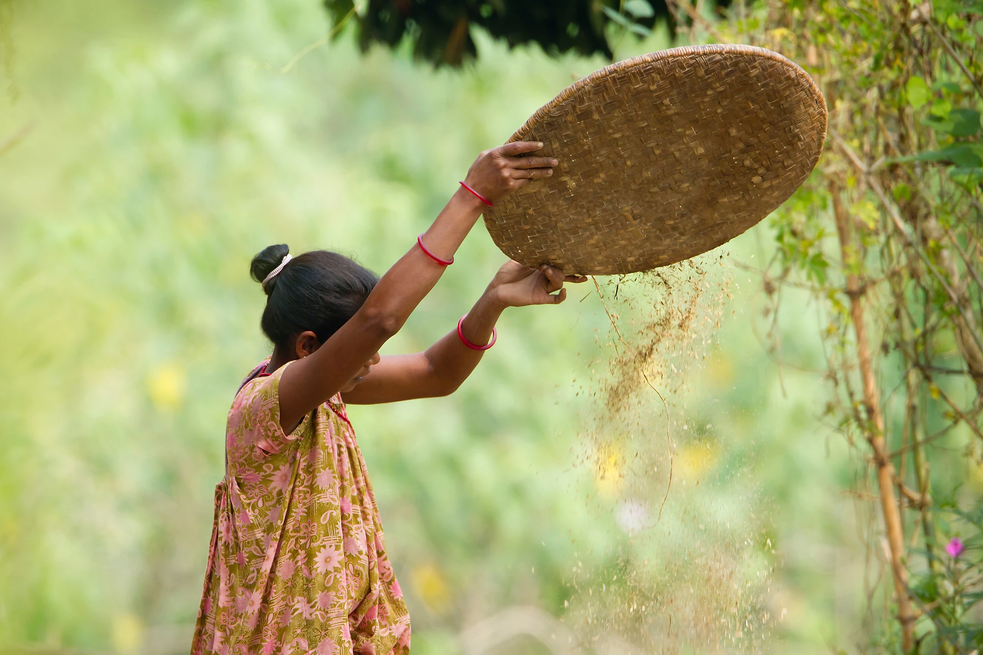 Evaluation of Gender Mainstreaming in the GEF 2017