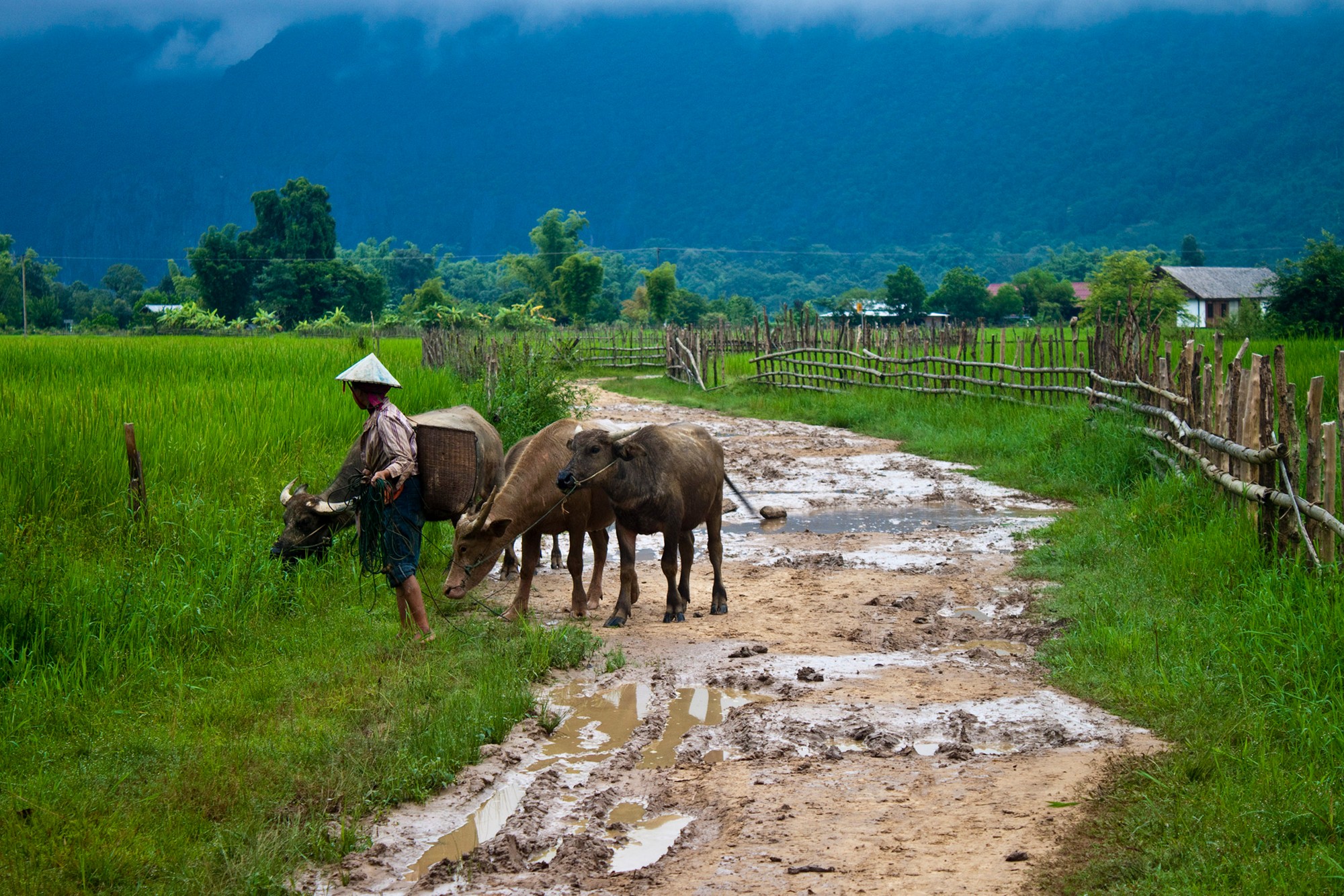Rural scene from central Laos