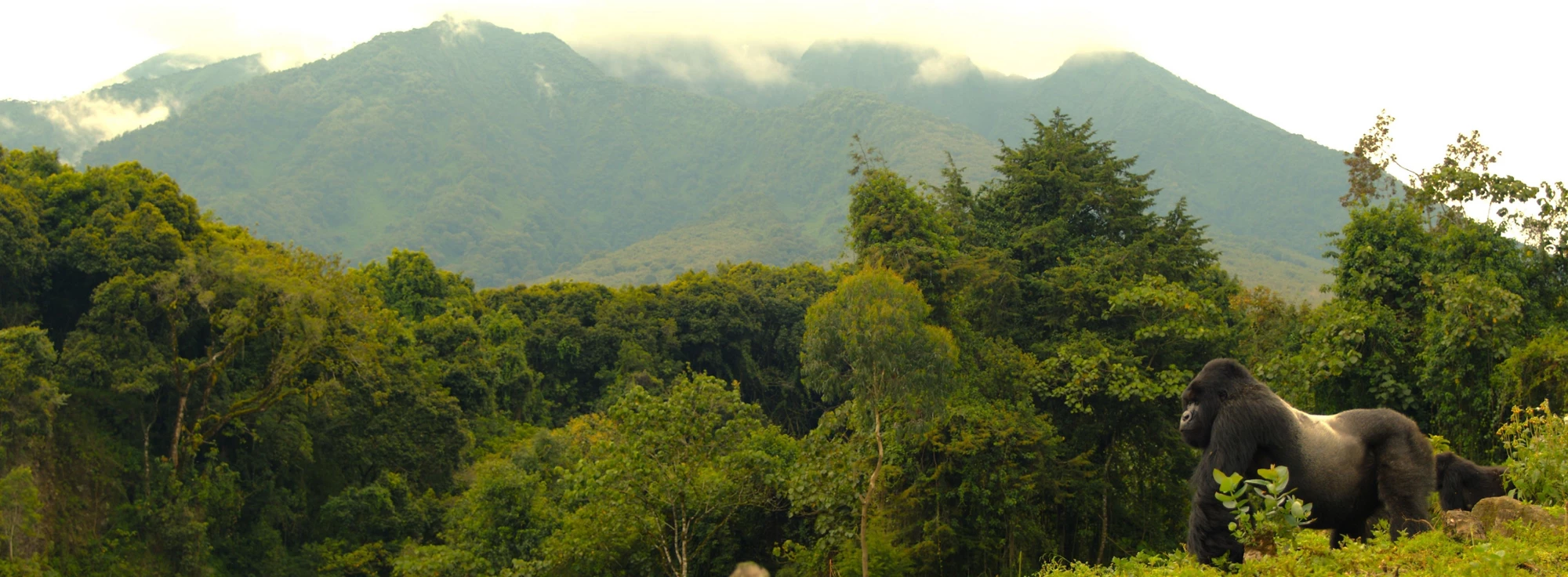 Impact Evaluation Support to Protected Area System - Discussion