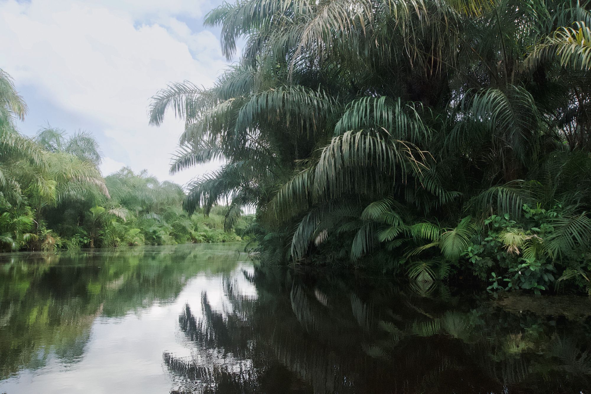 Benin