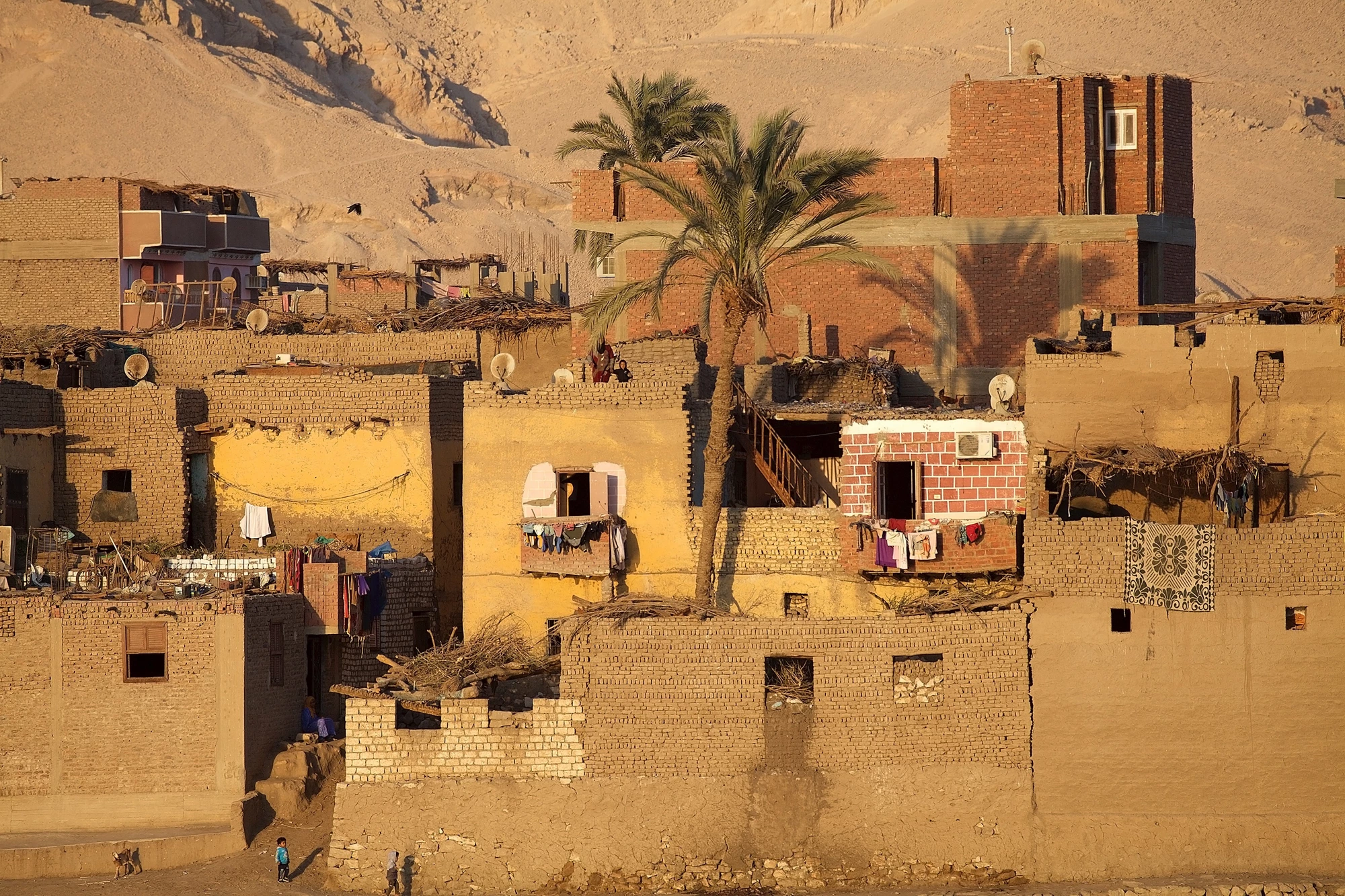 Traditional houses along the Nile river between Luxor and Aswan, Egypt. Village on the shore of the Nile river