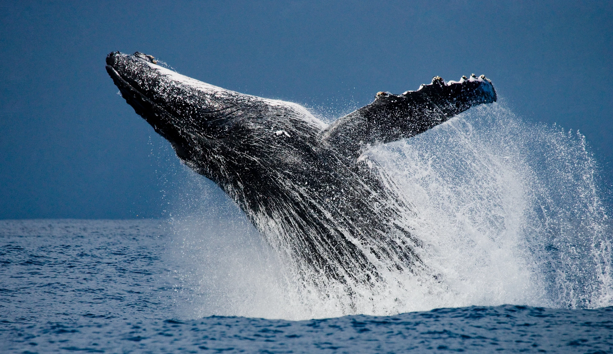 Evaluating Transformational Change