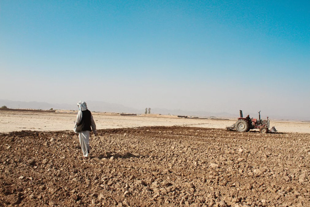 Building resilience to address Afghanistan's food security crisis