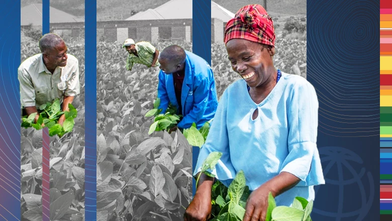 Scaling Investment in Climate-Smart Agriculture Technologies in Africa