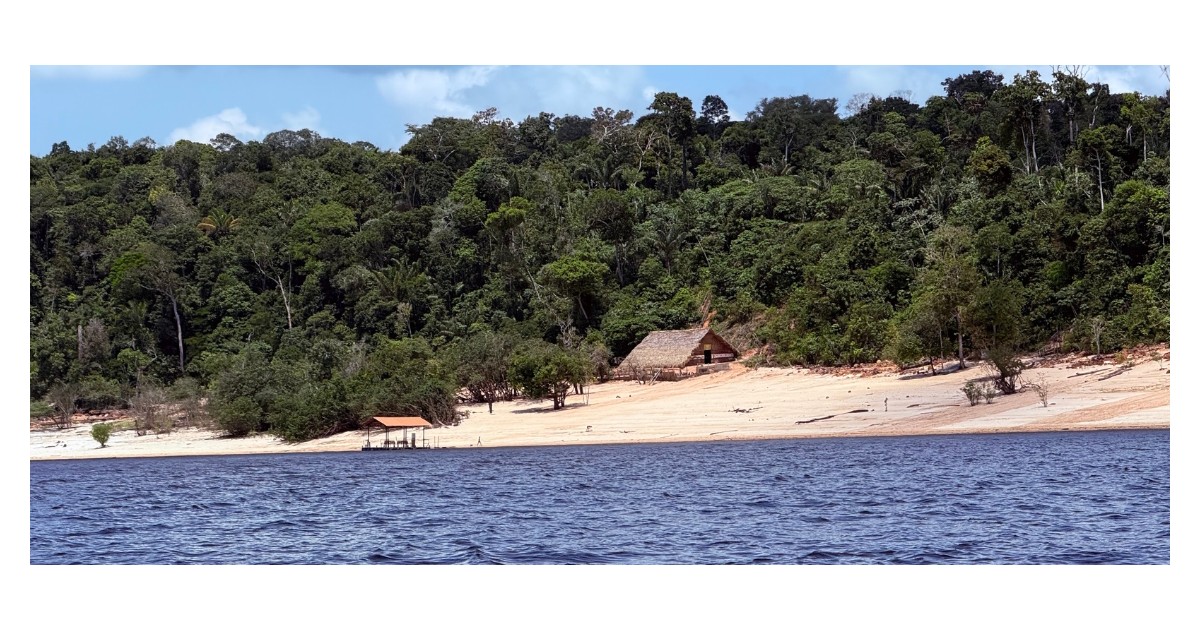 From Fiscal Reform to Forest Revival: The Amazonas Blueprint for Sustainable Growth