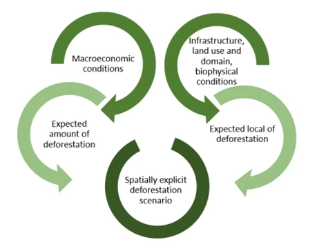 Amazon chart on deforestation scenario