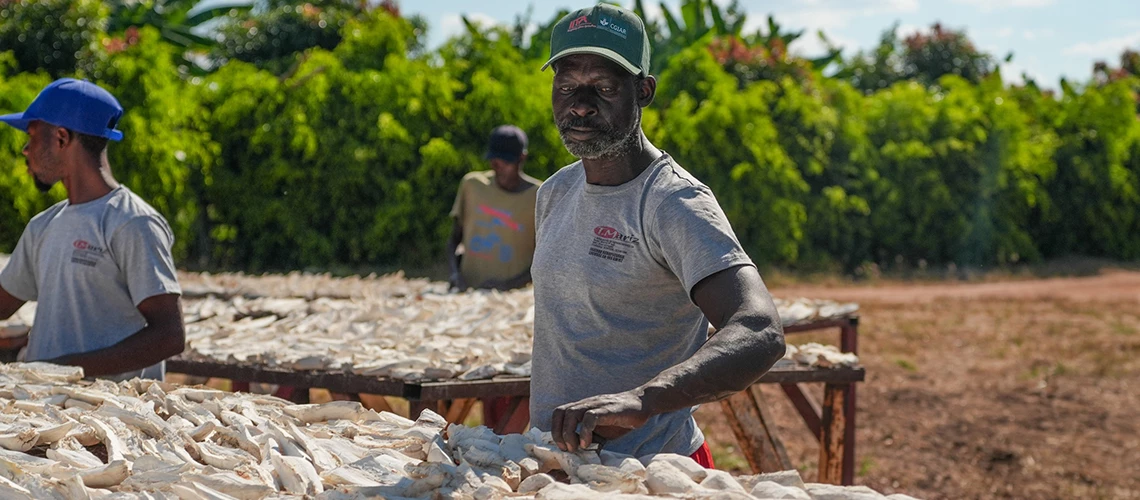 Produire plus, créer des emplois : l’heure de l’agro-industrie a sonné pour l’Afrique