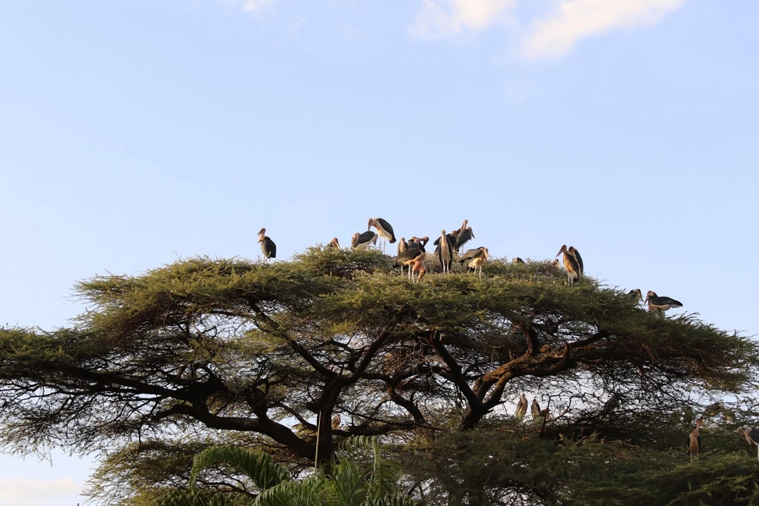 Annual Country Portfolio Evaluation Report (ACPER) 2014