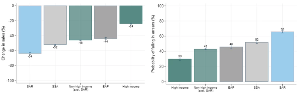 Firms in South Asia are more severely impacted relative to those in other regions