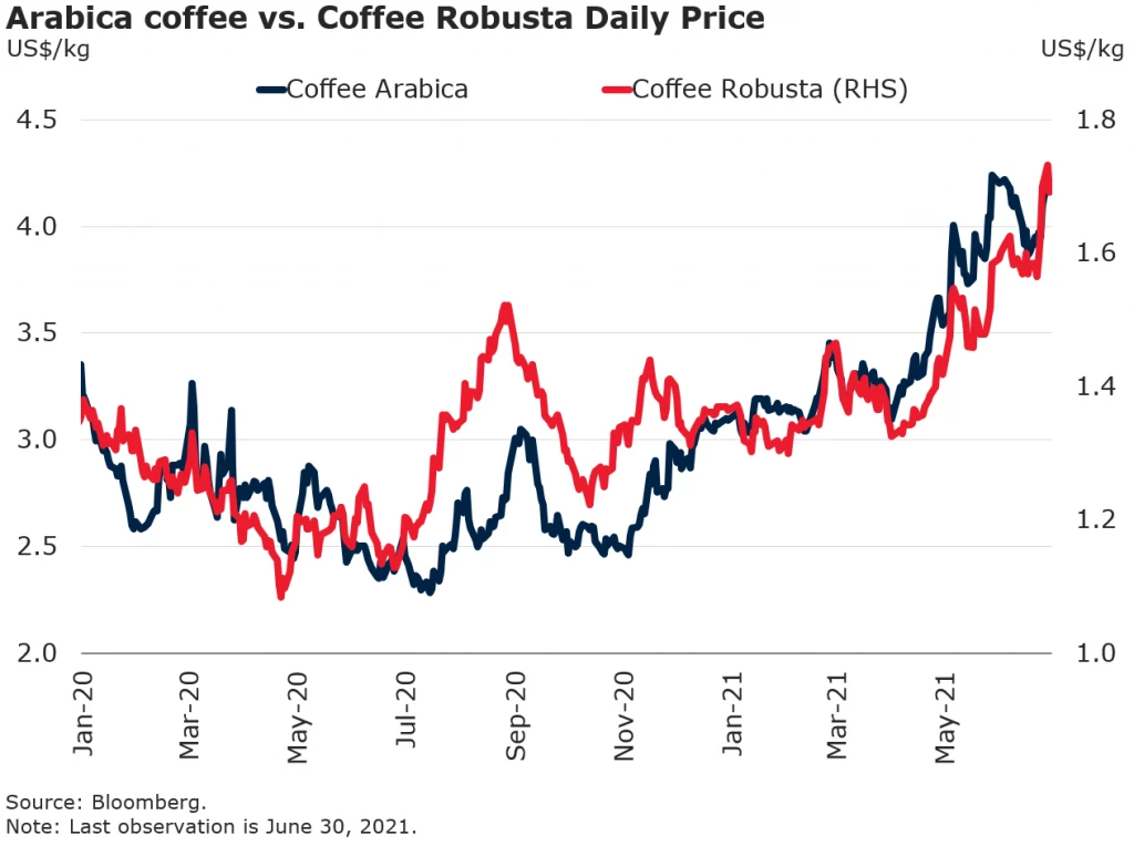 Arabica coffee vs. Coffee Robusta Daily Price