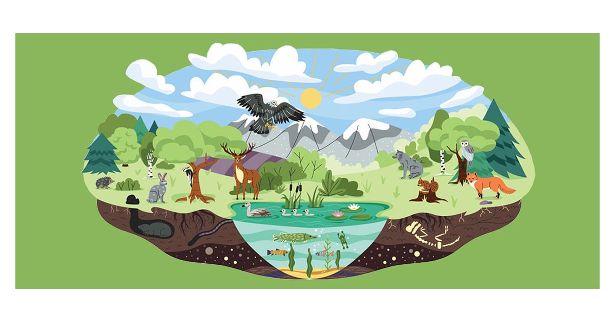 Revisiting protected areas for biodiversity conservation