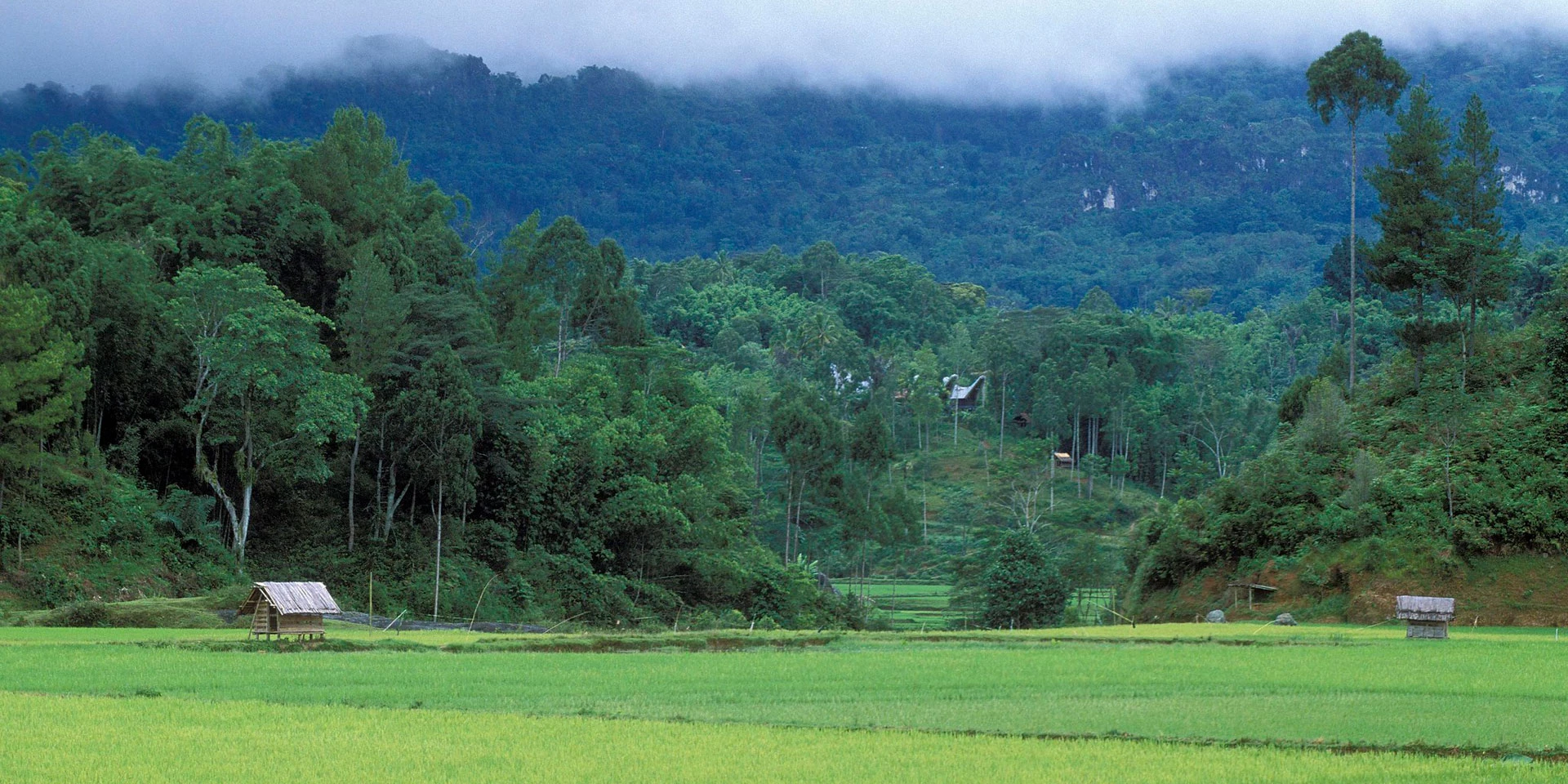 Biodiversity Finance