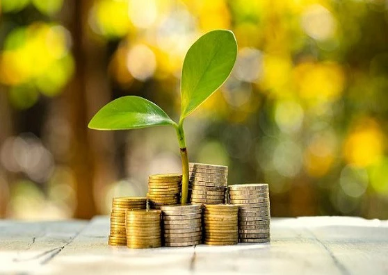 An image representative of Financial Growth.