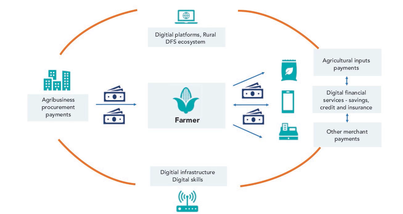 Digitization of agribusiness payments to farmers 