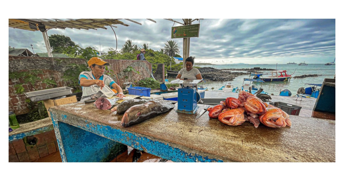 Women, ocean, and jobs: the story Ecuador is already writing