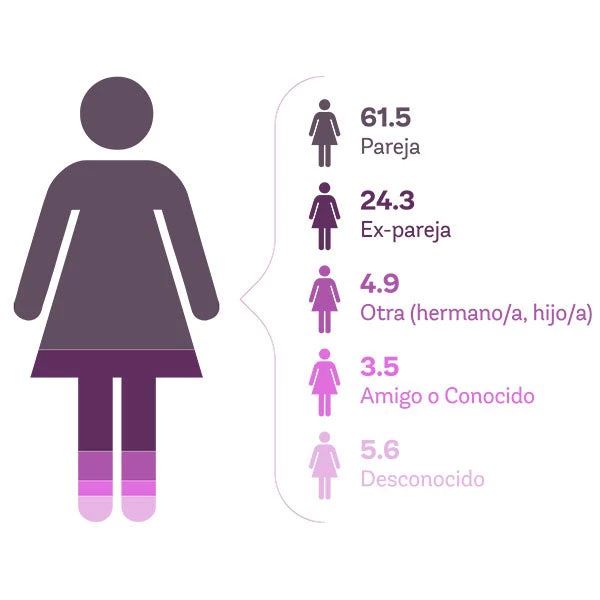 Porcentaje de agresores y su relación con las víctimas 