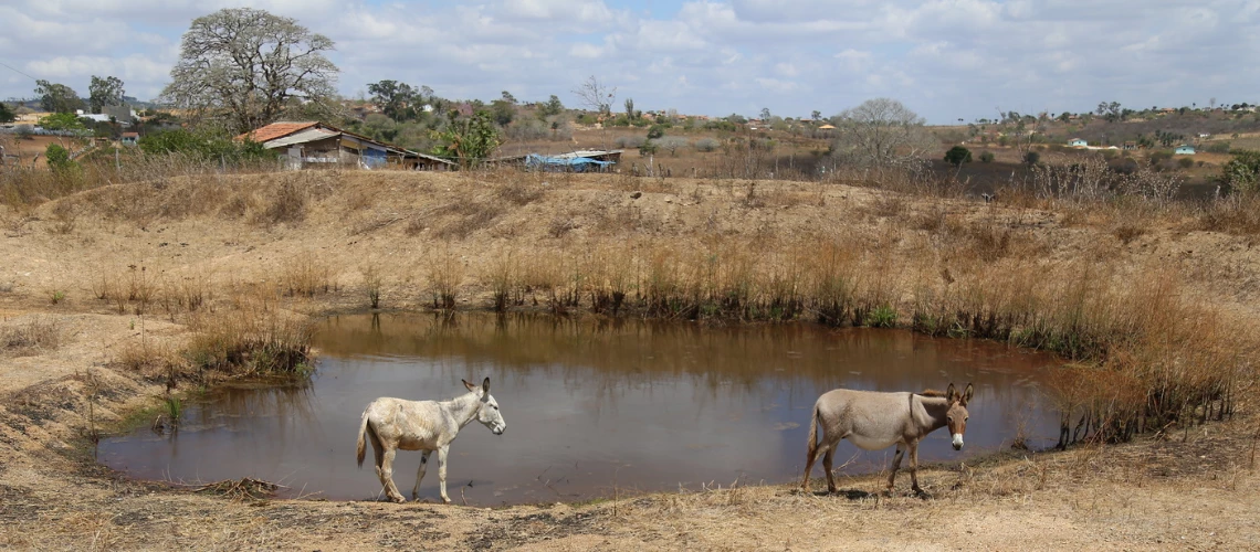 A drier future? Strengthening drought resilience in Latin America