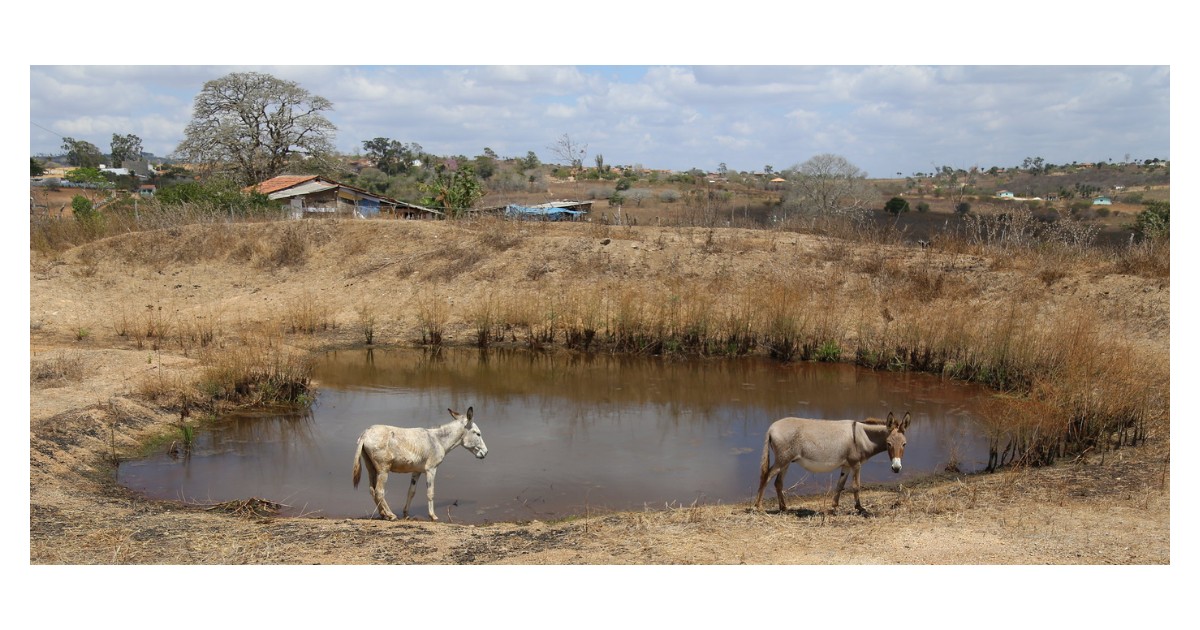 A drier future? Strengthening drought resilience in Latin America