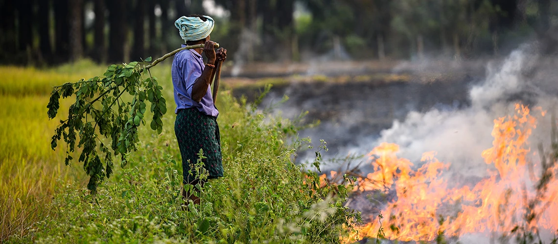 A farmer burns the remains of his Sugar Cane crop causing heavy smoke and air pollution. |  © shutterstock.com
